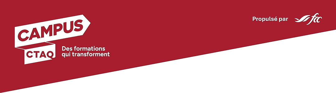 conseiltaq-1200